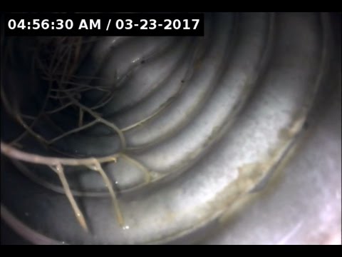 filtration piscine bouchee